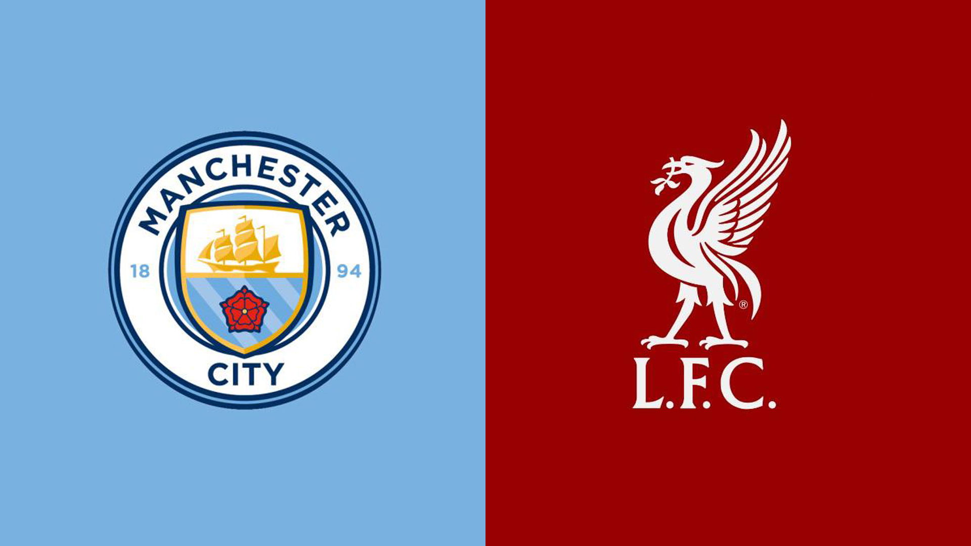 更能体现出 更能体现出