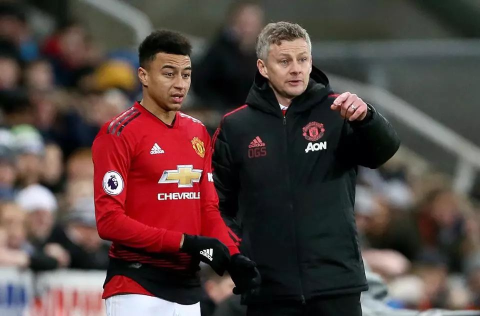 完全展示出 完全展示出