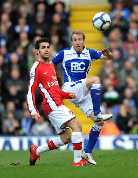 争相寻求可 争相寻求可